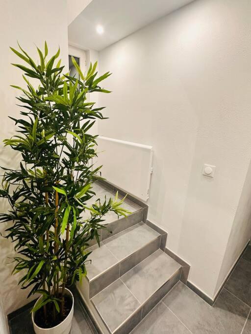 Superbe Maison A Proximite Du Centre De Strasbourg Bischheim Extérieur photo